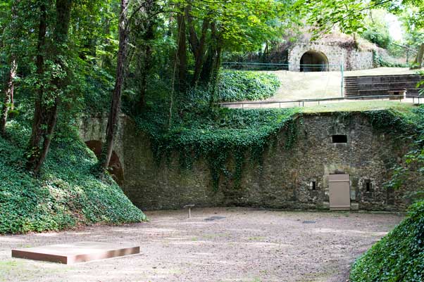 illustration article