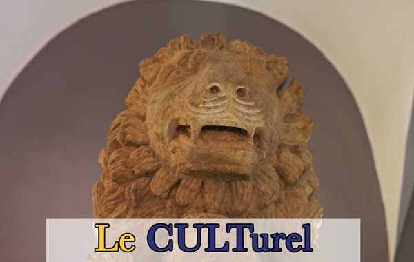 illustration article