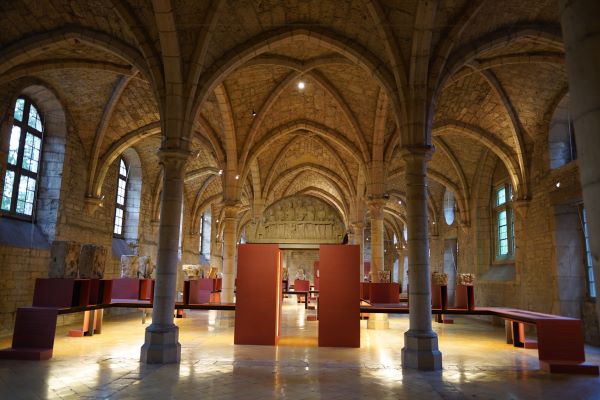 illustration article