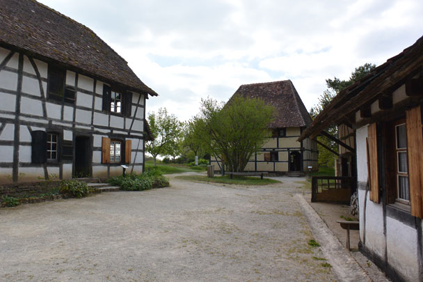 illustration article