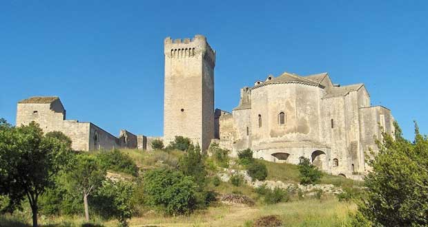 illustration article