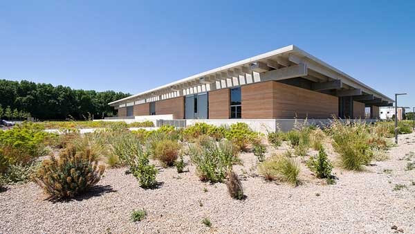 illustration article