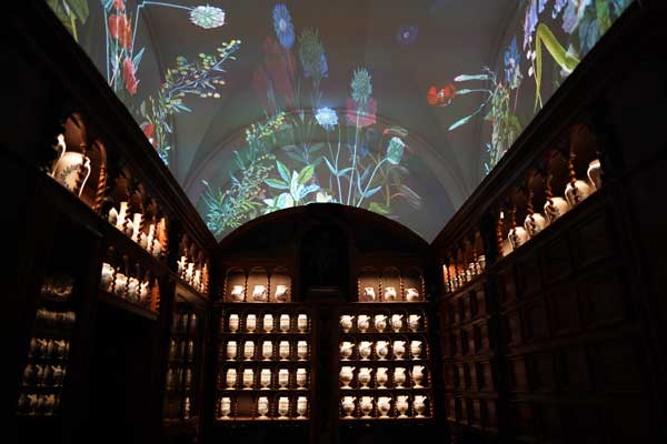 Cité de la Gastronomie de Lyon, Unesco, Musée, visite test, blog culture