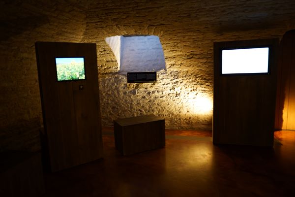 visite « Sensations fortes », Moutarderie Fallot, Beaune, moutarde, blog culture, visites test