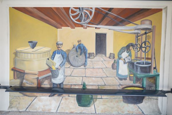  visite « Sensations fortes », Moutarderie Fallot, Beaune, moutarde, blog culture, visites test