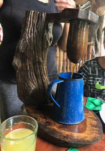 nature comme héritage : l’exemple du Costa Rica, blog culture, faune et flore, voyage, tourisme, Pura Vida