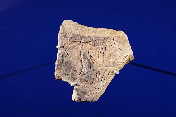 Art et Préhistoire, exposition, Musée de l’Homme, MNHN, Paris, musée