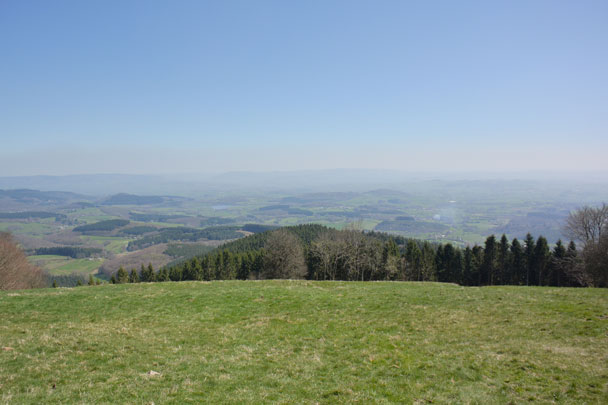 Bibracte, forêt du Morvan, Mont Beuvray