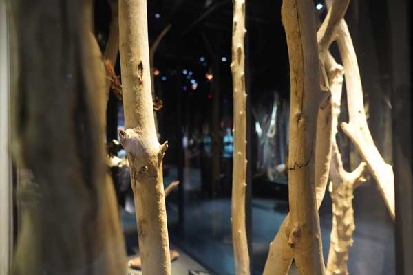  Magique, Musée des Confluences, magie, exposition, société, sorcier, sorcière, blog culture