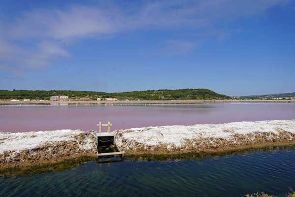 visite guidée du Salin de Gruissan, saline, marais salants, Narbonne, visite test