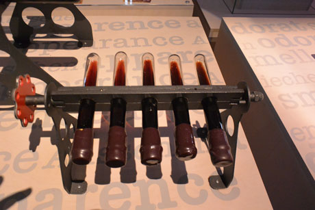 le Cassissium, Nuits-St-Georges, Cassis, visite test