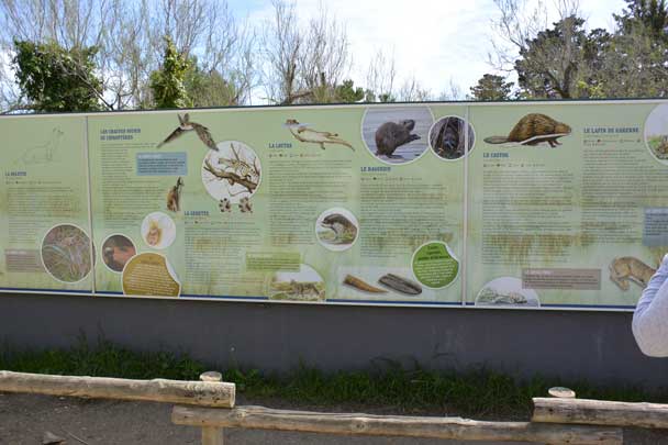 Patrimoine naturel, réserves de biosphère, Camargue, Pont de Gau