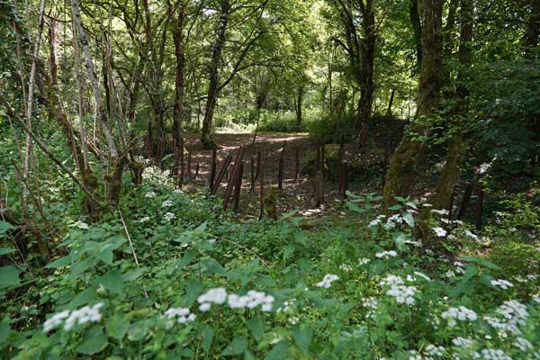 Ile Art, Malans, Pesmes, Haute Saône, Musée ciel ouvert, Art contemporain, Sculpture, forêt, blog culture