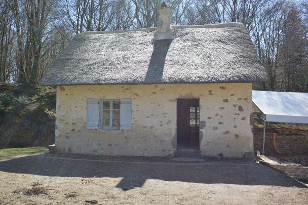Bibracte, forêt du Morvan, Mont Beuvray