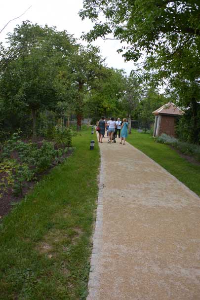 Du côté des Renoir, Essoyes, Aube, Champagne