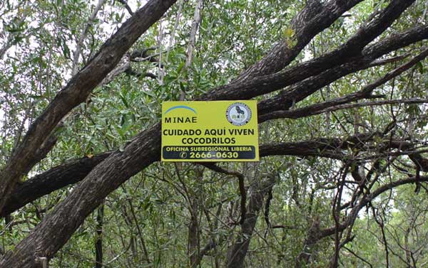 nature comme héritage : l’exemple du Costa Rica, blog culture, faune et flore, voyage, tourisme, Pura Vida