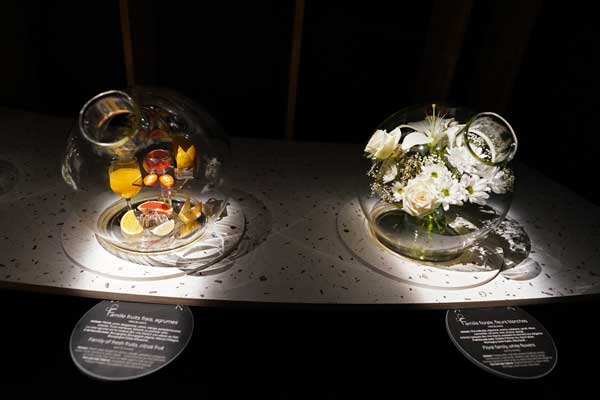 Cité des Climats et du Vin, Beaune, climat, Bourgogne, Unesco, visite test, blog culture 