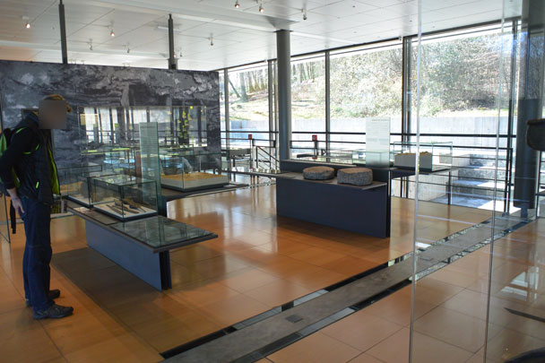 Bibracte, forêt du Morvan, Mont Beuvray